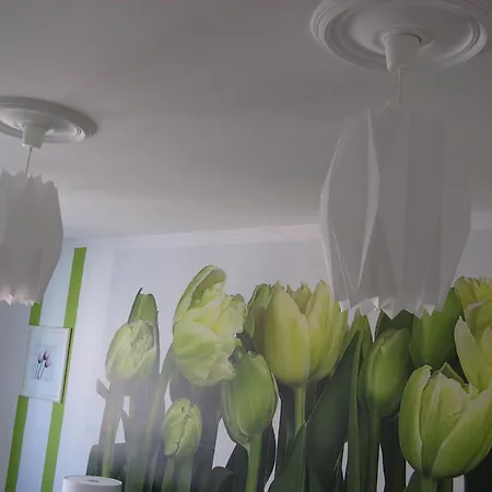 Apartment Artrooms *